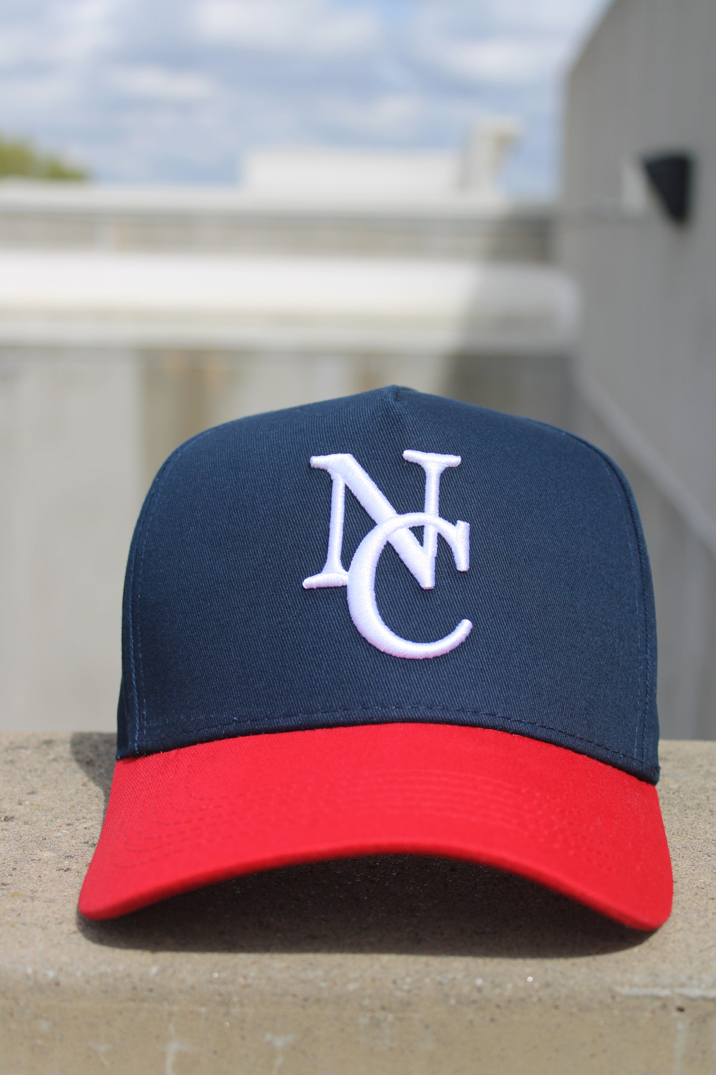 The Ballpark Snapback